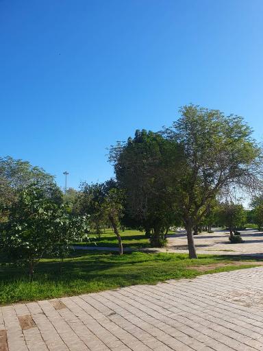 عکس پارک دولت