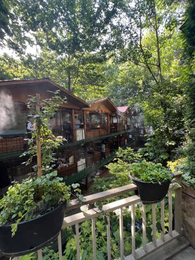 عکس رستوران کوروش