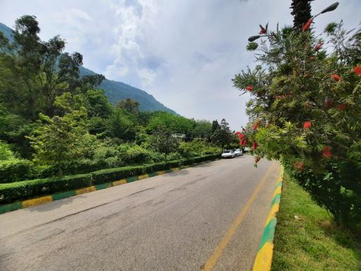 عکس پارک جنگلی نمک آبرود