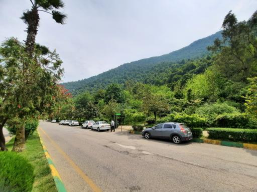 عکس پارک جنگلی نمک آبرود