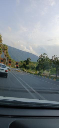 عکس پارک جنگلی نمک آبرود