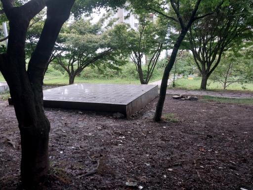 عکس پارک جنگلی نمک آبرود