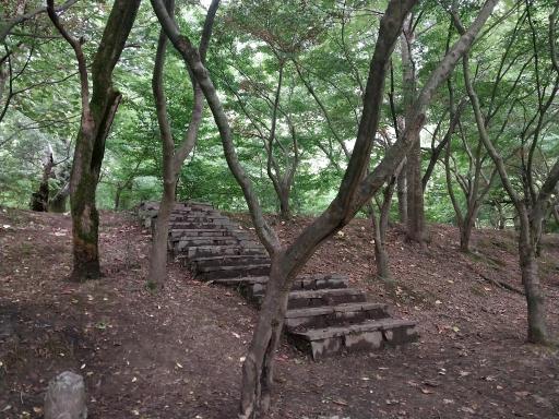 عکس پارک جنگلی نمک آبرود