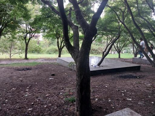 عکس پارک جنگلی نمک آبرود