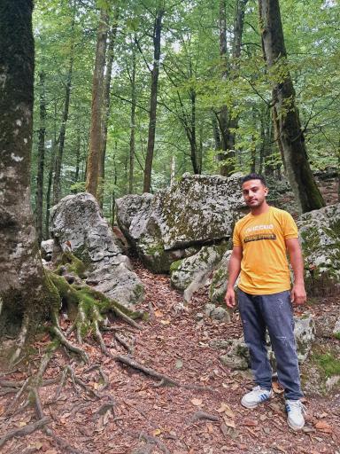 عکس پارک جنگلی نمک آبرود