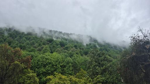 عکس پارک جنگلی نمک آبرود