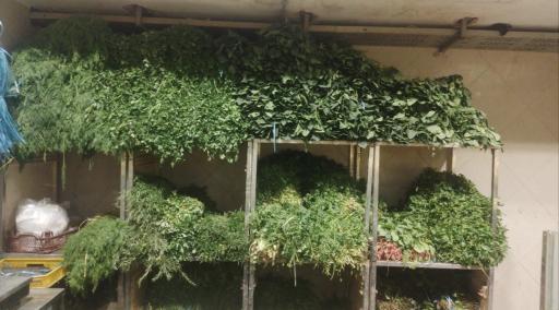 عکس بازار روز و میوه تره بار قره یاضی