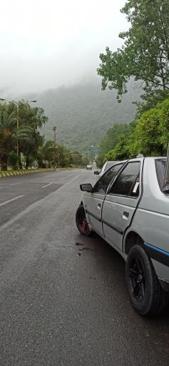 عکس پارک جنگلی نمک آبرود