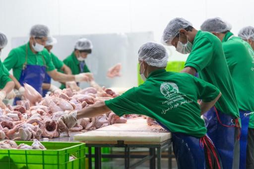 عکس کشتارگاه دُر مرغزار