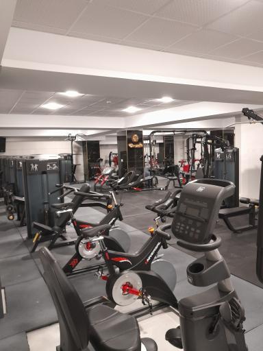 عکس باشگاه بدنسازی شیر