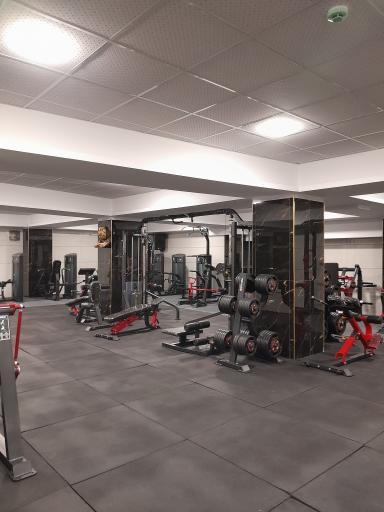 عکس باشگاه بدنسازی شیر