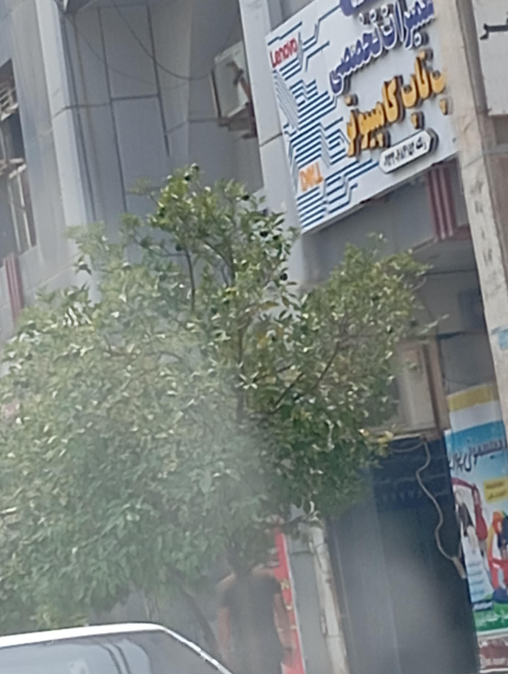 عکس تعمیرات تخصصی لپ تاپ کامپیوتر