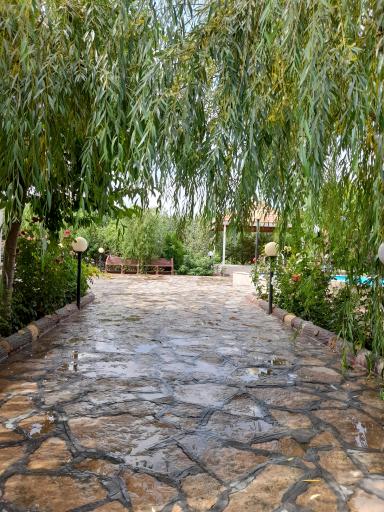 عکس باغ اندی 