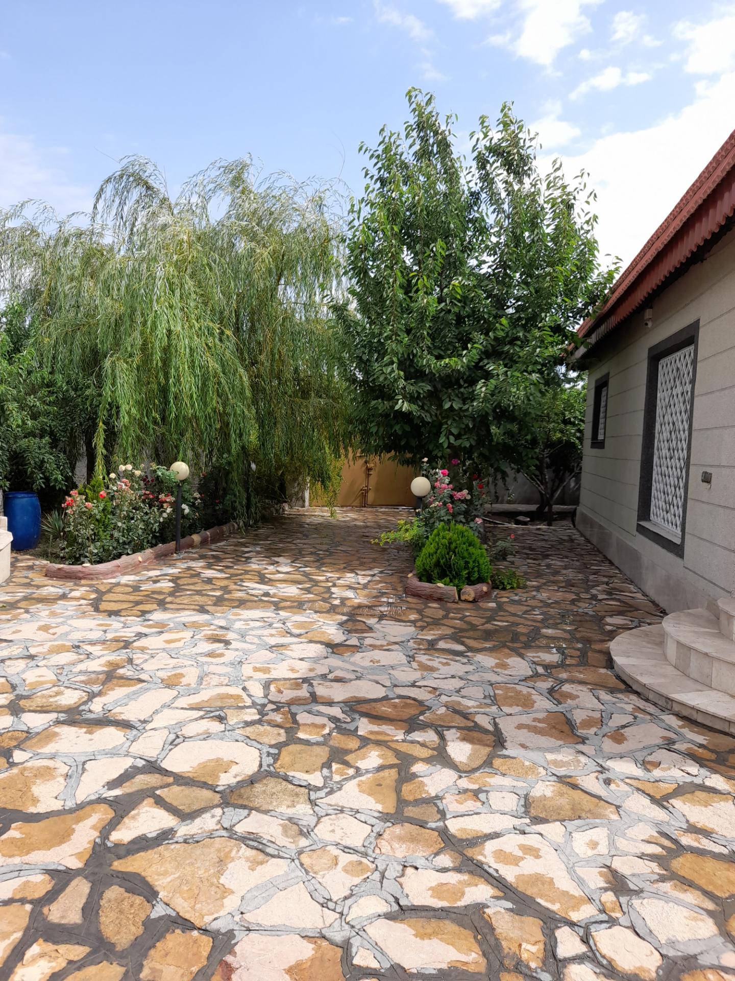 عکس باغ اندی 