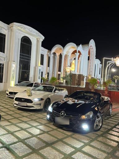 عکس باغ عمارت ۱۳۳