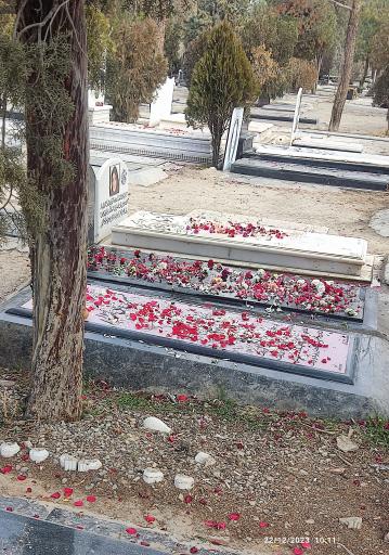 عکس قطعه 70 ر 131 ش 44