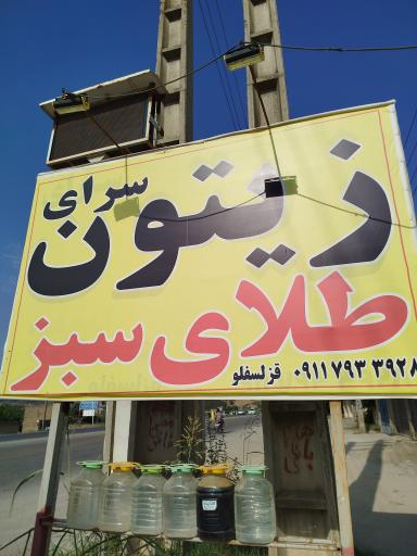 عکس زیتون سرای طلای سبز