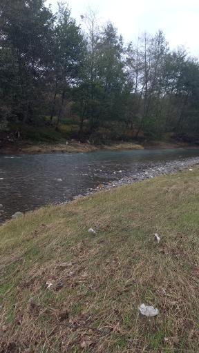 عکس اطاقوَر