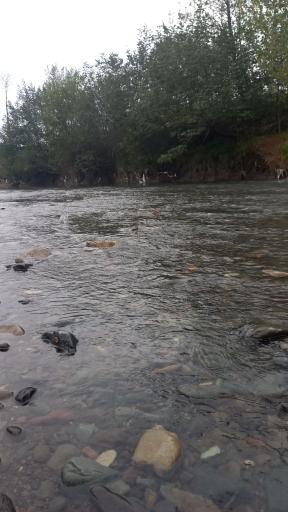 عکس اطاقوَر