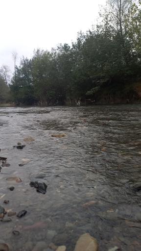 عکس اطاقوَر