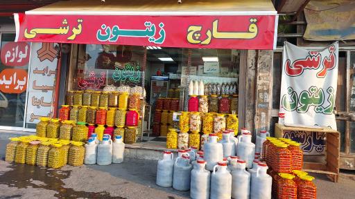 عکس دکتر مزه کرج