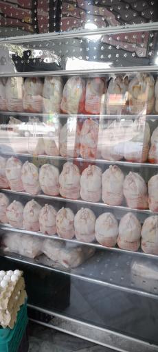 عکس مرغ ماهی گوشت ولیعصر 