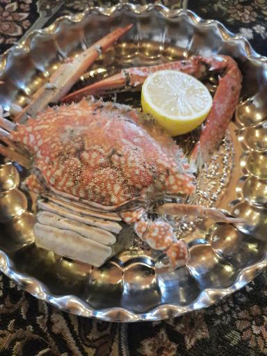 عکس غذای دریایی تاخره