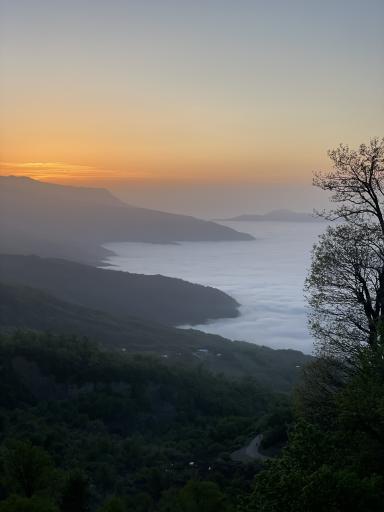 عکس جنگل اولنگ