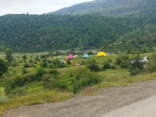 عکس جنگل اولنگ