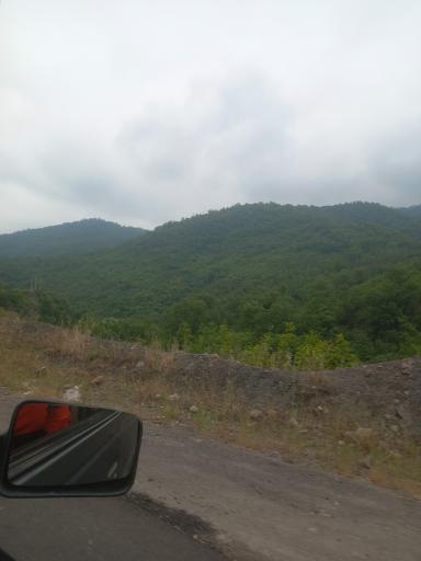 عکس جنگل اولنگ