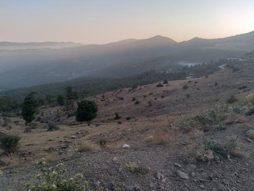 عکس جنگل اولنگ