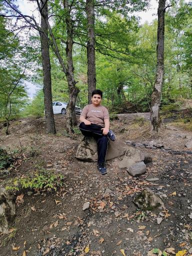 عکس جنگل اولنگ