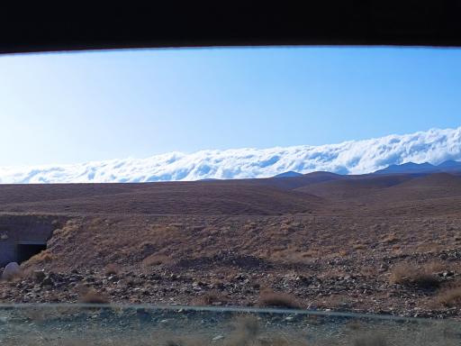 عکس جنگل اولنگ