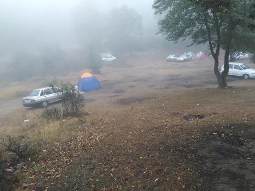 عکس جنگل اولنگ