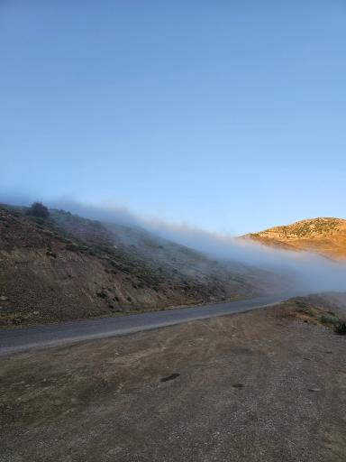 عکس جنگل اولنگ