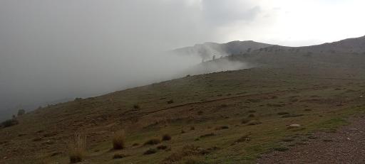 عکس جنگل اولنگ