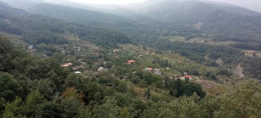 عکس جنگل اولنگ