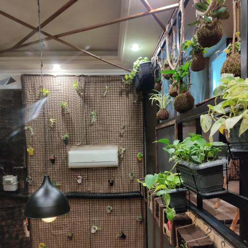 عکس کافه سالویا