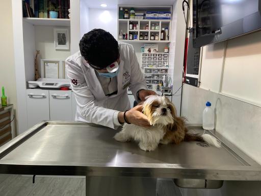 عکس کلینیک دامپزشکی وت ایران