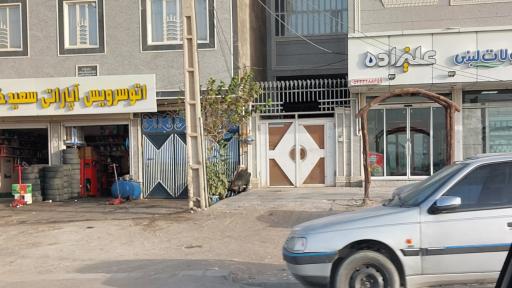 عکس لبنیاتی علیزاده