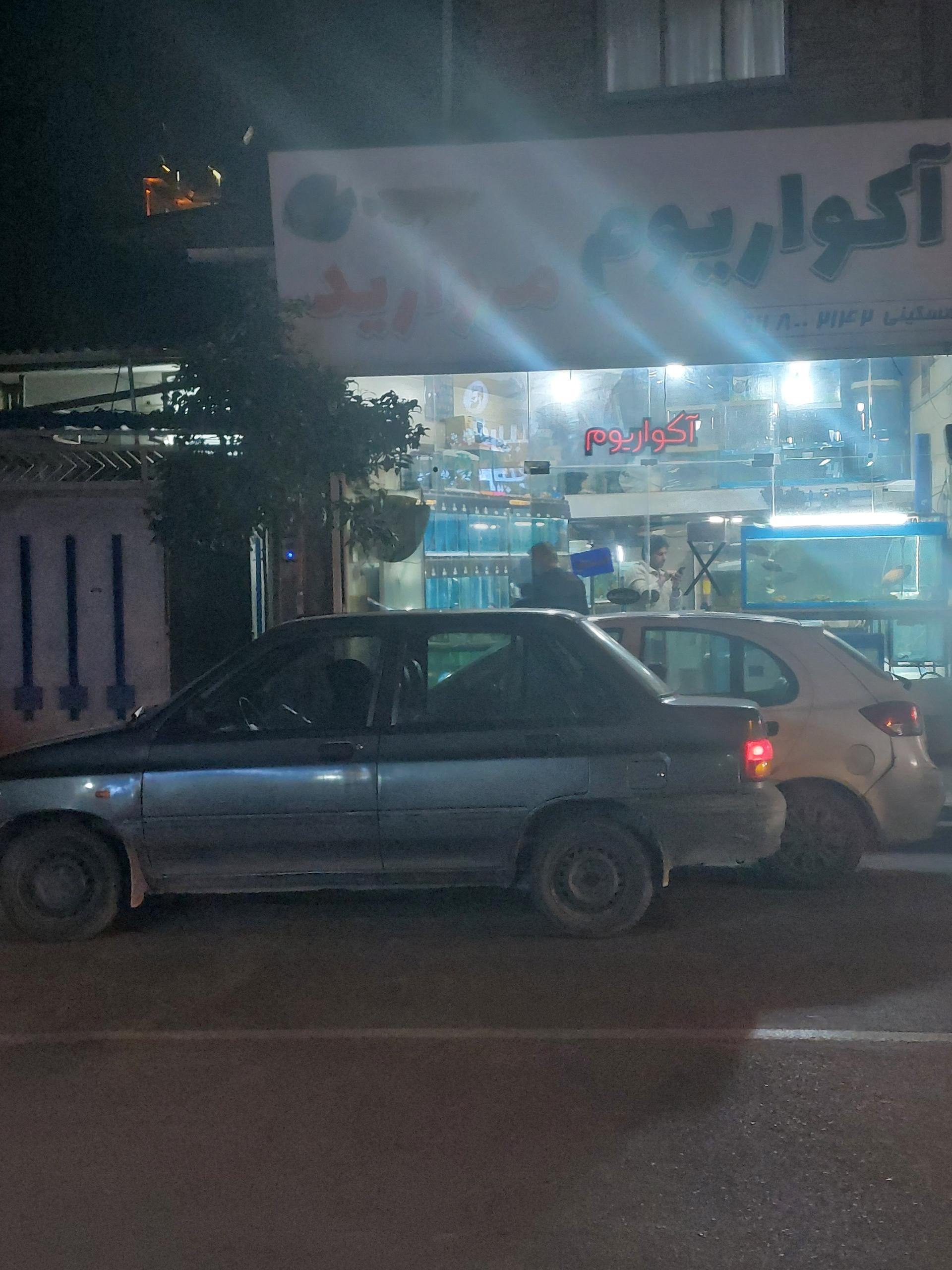 عکس آکواریوم مروارید