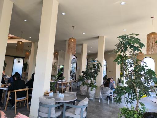 عکس کافه رستوران ریوار