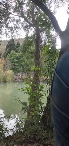 عکس دریاچه بهشت 