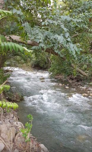 عکس دریاچه بهشت 