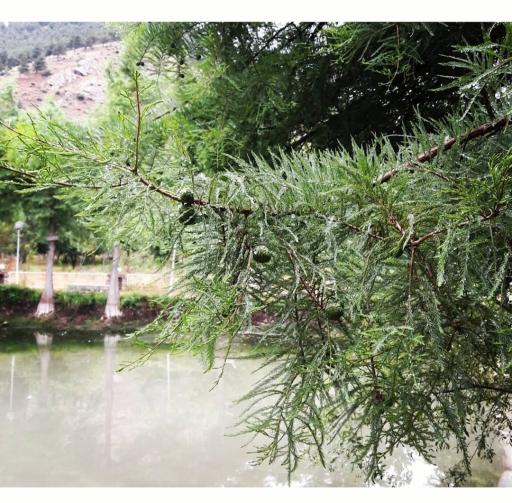 عکس دریاچه بهشت 