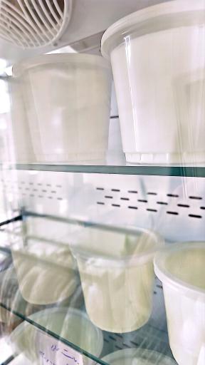 عکس لبنیات سنتی اصیل شیراز 