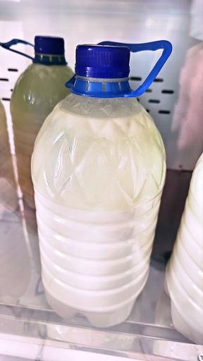 عکس لبنیات سنتی اصیل شیراز 