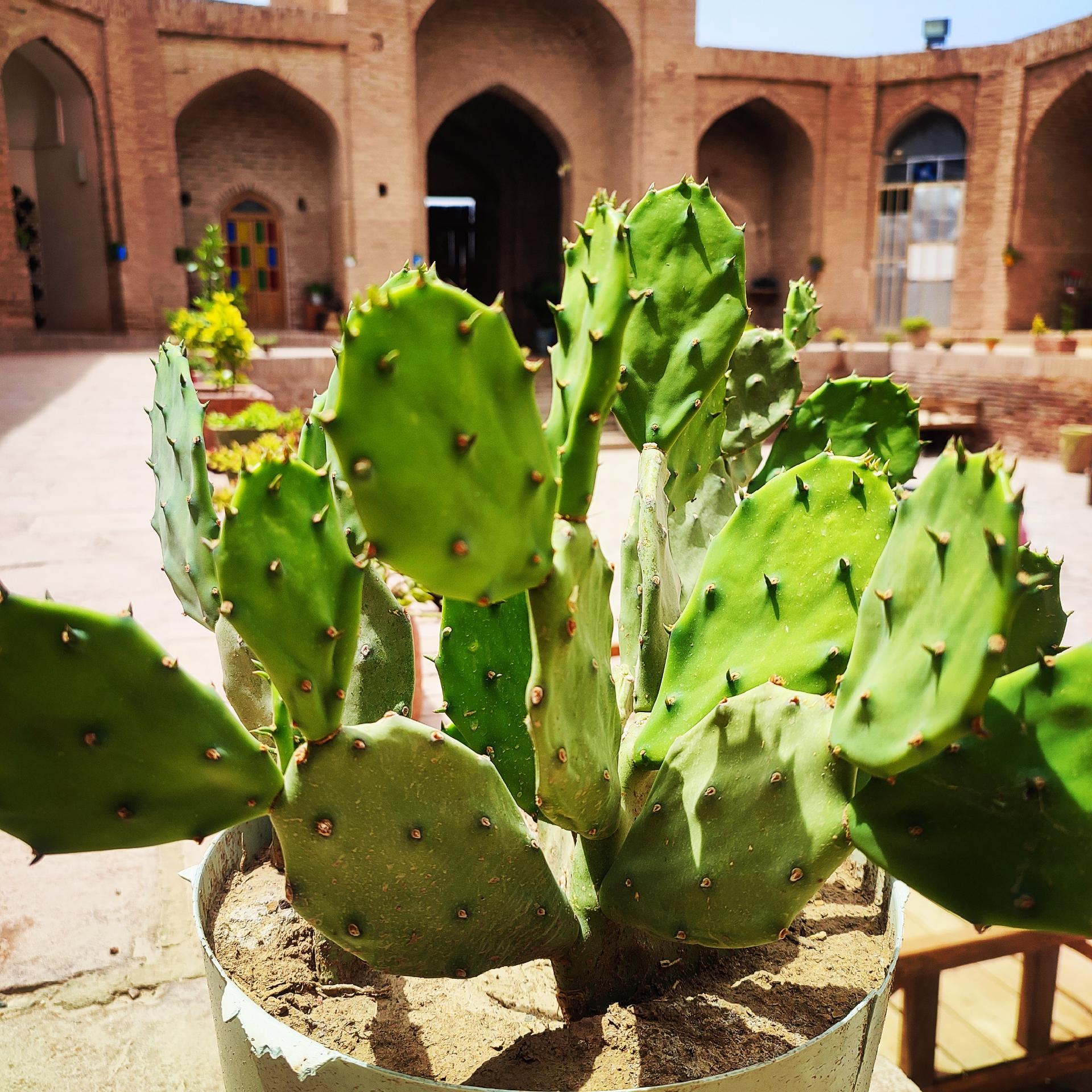 عکس کافه رستوران و اقامتگاه سنتی