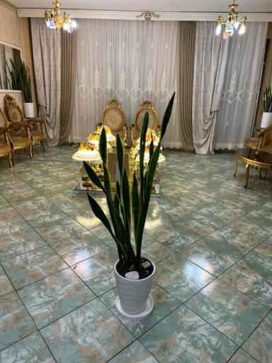 عکس دفتر ازدواج ۱۳۶ و طلاق ۱۱۳