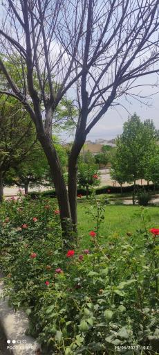 عکس مجتمع تفریحی و توریستی نسیم دریا